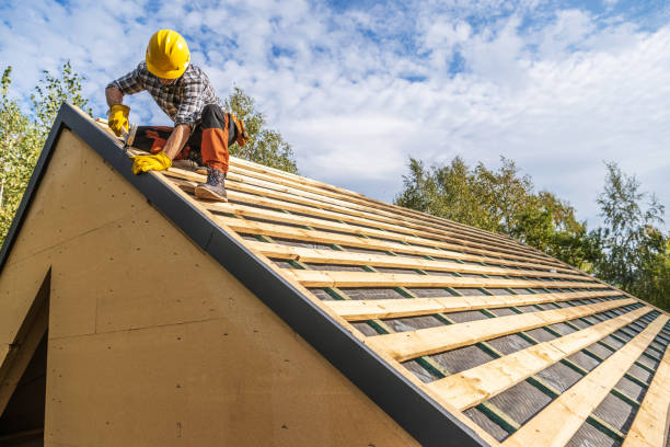 Best Residential Roofing Contractor  in Algonac, MI