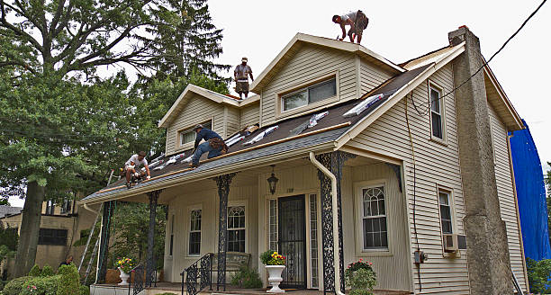 Best Roof Repair Specialists  in Algonac, MI