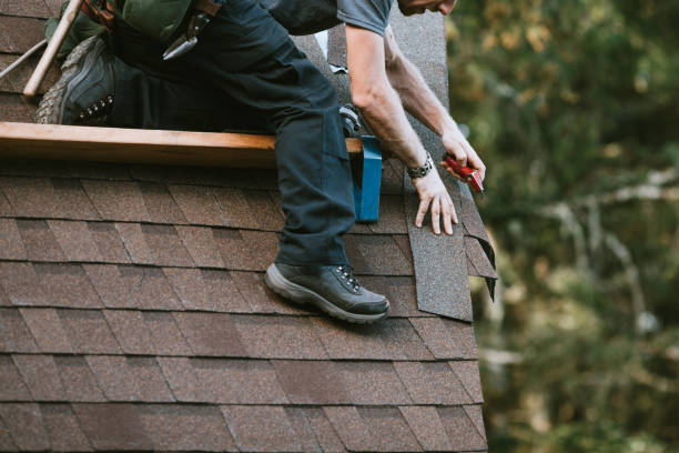 Professional Roofing Contractor in Algonac, MI